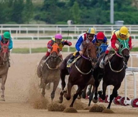 How to Bet on Horse Races? Simple Guide For Beginners